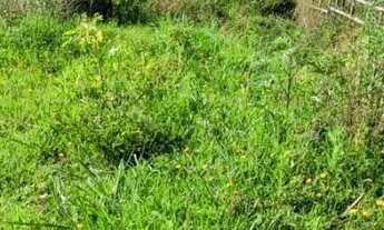 Imagem 4: TERRENO ESPETACULAR EM EMBU-GUAÇU! Oportunidade ÚNICA!