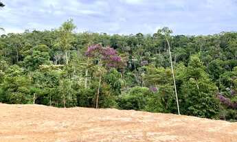 Imagem 3: Paraíso Ecológico em Santa Teresa Com 4 Hectares