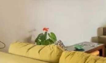 Imagem 2: APARTAMENTO 3 DORMITÓRIOS NA VILA MASCOTE