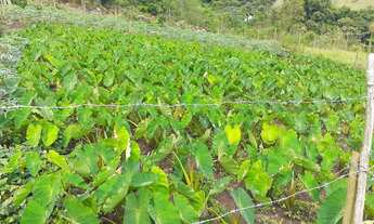 Imagem 5: Terreno a venda na bocaina em São Pedro da serra