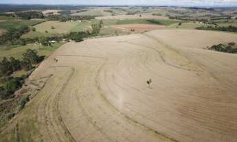 Imagem 7: Fazenda 39 Alqueires, Próximo Itapetininga-Sp
