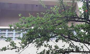 Imagem 3: Sobrado à venda Terreno , 258 m² - Santo Amaro - São Paulo/SP