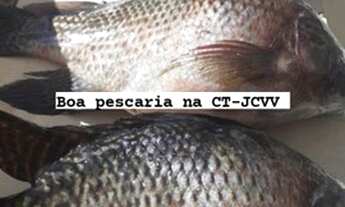 Imagem 7: Casa boa bem localizada