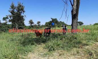 Imagem 7: Sítio meio alqueire - apenas 37 km de Uberlândia