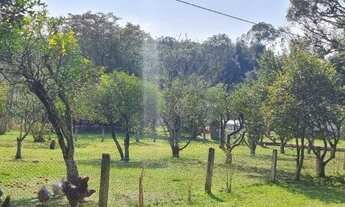 Imagem: Sítio único de 1,2 hectares no Jardim