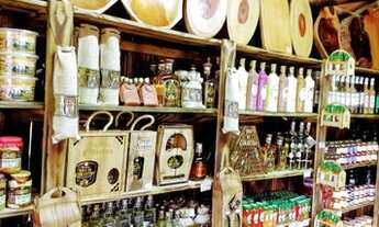 Imagem 5: Quiosque no Caminho do Vinho