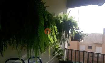 Imagem: SAO JOSE DO RIO PRETO - Residential / Apartment