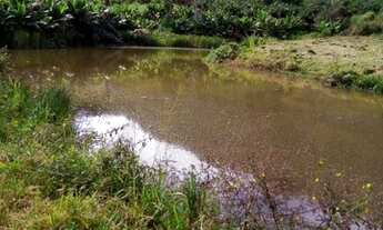 Imagem 7: M- Fazenda em Laranja da Terra 7,5 alqueires