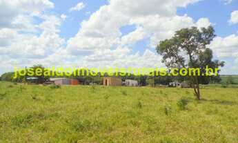 Imagem: Granja de Frangos funcionando, 25 km Monte