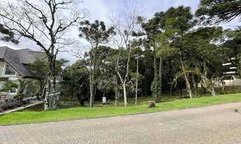 Imagem: VENHA MORAR NO ALTOS PINHEIROS