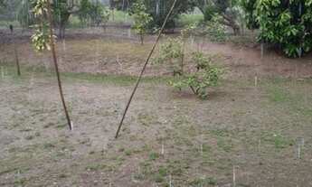 Imagem 2: Vende - se Chácara