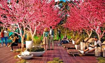 Imagem: Apartamento a venda 1 dormitorio c/ suíte