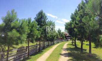 Imagem 2: Terreno em Condominio em Lami