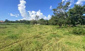 Imagem 3: Chácara no Distrito de Roselandia a 31 km do flamboyant- sentido Bela Vista GO