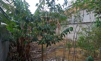 Imagem: Lote com 240MTs