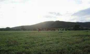 Imagem 14: Fazenda à venda, m² por R$ 110.000.000,00 - Zona Rural - Alvorada do Norte/GO