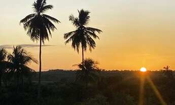 Imagem 3: Fazenda Real 3, oportunidade única!