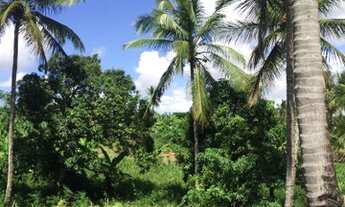 Imagem 4: Terreno Terreno / lote com venda por R$12.000