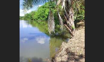Imagem 6: Fazenda 1500 alqueires 150 km de Palmas Tocantins
