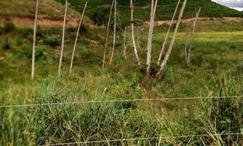 Imagem 6: M- Fazenda em Laranja da Terra 7,5 alqueires