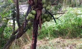 Imagem 3: Vendo terreno Casa com 1 dormitório