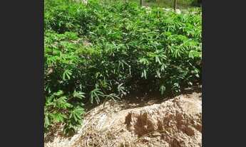 Imagem 6: Terreno com casa em ponto de laje