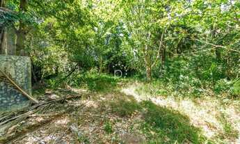 Imagem 3: PORTO ALEGRE - Terreno Padrão - IPANEMA