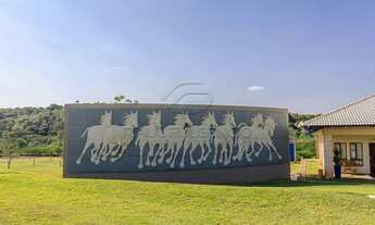 Imagem 5: Sertanópolis - Loteamento/Condomínio - Ecovilas