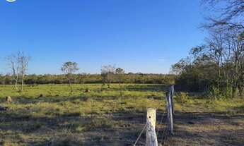 Imagem 6: FAZENDA À VENDDA EM ARAGUAINA - TO - 484 HECTARES (DUPLA APTIDÃO