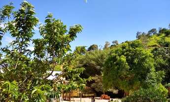 Imagem: Sítio em Itapina