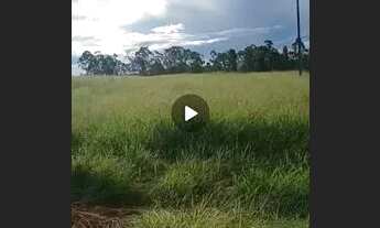 Imagem 3: Sítio ótimo investimento ,casa boa ,formado ,planta 90