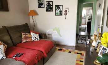 Imagem 4: Locação de Casas / Padrão na cidade de São Carlos