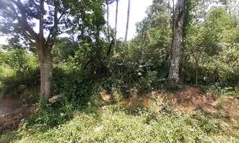 Imagem 4: Terreno 12x30 Suzano