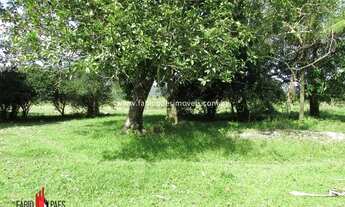 Imagem 6: Imobiliária Fabio Paes - Sítio a venda BEIRA RIO com 4 alq (19.36 ha) planos