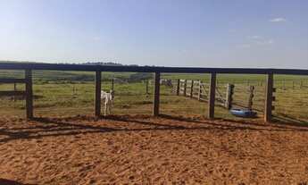Imagem 7: Fazenda na região de Umuarama - Pr