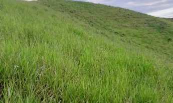Imagem 3: Fazenda/Sítio/Chácara para venda tem 240000 metros quadrados em Área Rural de Resende - Re