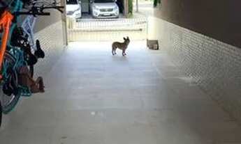 Imagem 6: CASA NO CONDOMÍNIO VILA VERDE - MORADA DE LARANJEIRAS