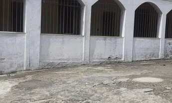 Imagem: Aluga-se borboleta