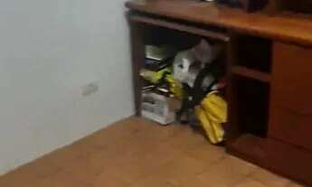 Imagem 5: Quarto - Amplo / Armários/ Arejado