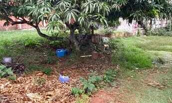 Imagem 4: Lote de 1.200 na Arniqueiras