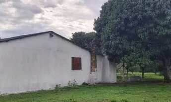 Imagem 6: Velleda oferece sítio na Águas Claras 4000m², com casa de alvenaria, muitas frutíferas