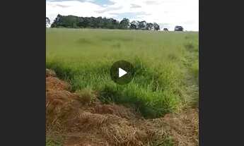 Imagem 2: Sítio ótimo investimento ,casa boa ,formado ,planta 90