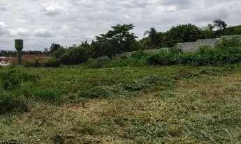 Imagem 4: Oportunidade lote 300 MTS Cána do Reino 26 de setembro r$ 90 mil