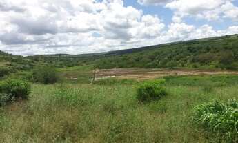 Imagem 6: Fazenda no Km 100
