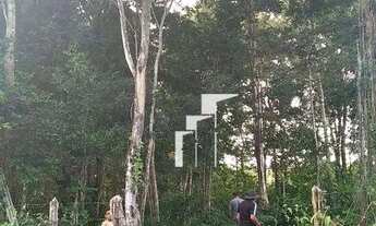 Imagem: Terreno no Morro do Papagaio