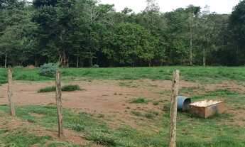 Imagem 4: Chácara em área rural Itauçu 5600m2