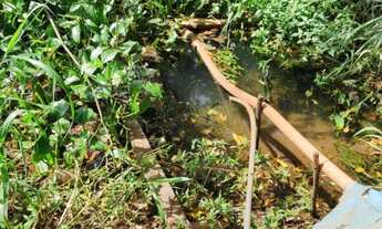 Imagem 6: Arrendo área 9.000m² p/ Plantio hortaliças e verduras Próx. Praça Violeiro em Goiânia