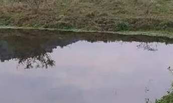 Imagem 2: Sítio à venda, Itapuã - Viamão/RS