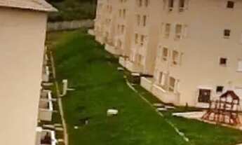 Imagem 7: Apartamento a venda no Bairro de lourdes