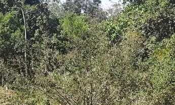 Imagem 7: Lote/Terreno - Chácaras Di Carvalho, Uberaba